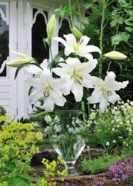 Availability Oregon Flowers