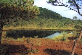 Este situat în masivul ciomatu din judeţul harghita, pe stânga râului olt, în apropiere de staţiunea tuşnad. Lacul Sfanta Ana Harghita Obiective Turistice Harta Romaniei