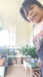 #cleaningMy beautiful plants has been eaten by caterpillar#