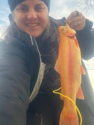 Has anyone in Michigan caught a palomino trout?