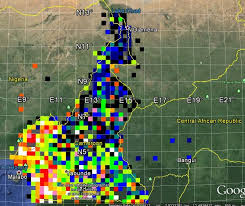 Image result for Sherbournia bignoniiflora