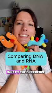 GIANTmicrobes (@giantmicrobes) • Instagram photos and videos