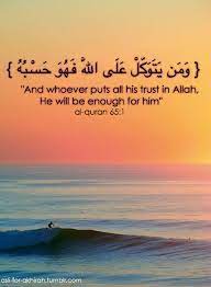 Wisdom is not putting it in a fruit salad. 50 Inspirational Islamic Quran Quotes Verses In English