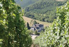 His father, jacob trier, was the sound technician of the pinchcliffe grand prix. Weingut Vereinigte Hospitien Bewertet Von Riesling De R Riesling De