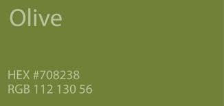 Olive Green Color Paint Code Swatch Chart Rgb Html Hex In