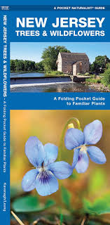 Our favorite trees with purple flowers. New Jersey Trees Wildflowers A Folding Pocket Guide To Familiar Plants Wildlife And Nature Identification Kavanagh James Waterford Press Leung Raymond 9781583554142 Amazon Com Books