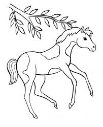 Disegni da colorare e stampare per bambini con animali, principesse e fate per natale, halloween, carnevale e pasqua. Disegni Di Cavalli Da Colorare 100 Immagini Da Stampare A Tutto Donna