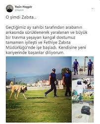 Anlamli Dusundurucu Eglenceli Guzel Komik Konusan Resimler Konusan Resimler Www Kizlarinsirlari Club Resimler Komik Resimler Travma