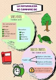 Representación gráfica de una cosa: Esquema De La Naturaleza Seres Vivos E Inertes By Maestrasconrecursos