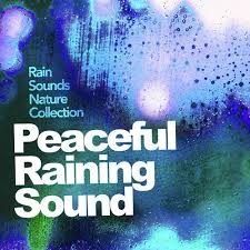 Download from our library of free rain sound effects. Rainfall On The Horizon Song Download From Peaceful Raining Sound Jiosaavn