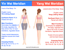 You Searched For All About Heart Meridian Acupro Academy Acupuncture Yang Wei Shiatsu Massage