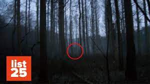 We did not find results for: 25 Creepy Things Found In The Woods Youtube