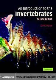 Work sheet on introduction to inverta brate : Pdf An Introduction To The Invertebrates Second Edition Daga Anzaldo Academia Edu