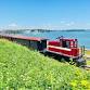 Scenic Train Ride
