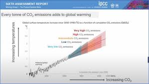 The intergovernmental panel on climate change (ipcc): 2xgx5qki9i62um