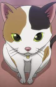 Volleyball anime haikyuu characters vintage wallpapers art tumblr violent anime death vkook bts anime drawings viz media anime list violet purple color background wallpaper virgo sign anime. Miyo S Cat Anime Planet