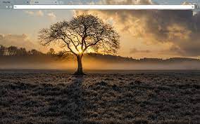 Lone Tree Google Chrome Theme Google Themes Theme Google Backgrounds