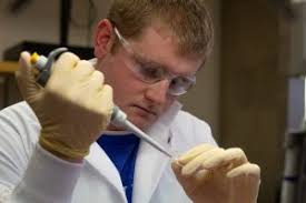 Studying tick-borne diseases in an iconic native Maine species: Moose