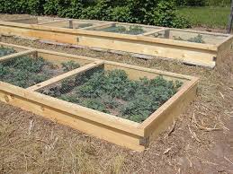 I chose to leave my box as it is. Protecting Strawberries From Birds And Small Animals General Fruit Growing Growing Fruit