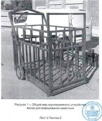 Dare to be bold with fearless fashion that show your power