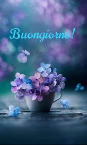 Frasi Di Buongiorno Http Videoswatsapp Com Imagenes Frasi Di Buongiorno 210 Videowatsapp Buongiorno Buo Good Morning Images Morning Images Good Morning
