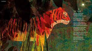 Tiger, largest member of the cat family (felidae), rivaled only by the lion in strength and ferocity. Tiger Tiger Burning Bright An Animal Poem For Every Day Of The Year Poetry Collections Waters Fiona Teckentrup Britta Amazon De Bucher
