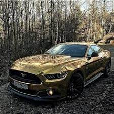 Hd Wallpaper Download Free Hd Wallpapers Live Cars Tumblr Nature Ford Mustang Mustang Mustang V8