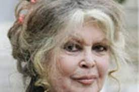 Brigitte Bardot Opnieuw Veroordeeld Voor Rassenhaat Gazet Van Antwerpen Mobile