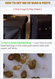 Pointe pest control has the experts you need to live a pest free life. 780 Bed Bug Pest Control Ideas Pest Control Pests Bed Bugs