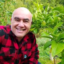 Removing Yen Ben lemons 🍋, ., I'm removing all lower shoots, flowers &  fruit from this young Yen Ben lemon tree so it can direct nutrients &  energy into developing its root system and branch ...