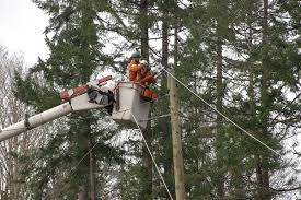 Check your manitoba hydro online account notification settings are. B C Hydro Warns That Extended Outages Expected Nanaimo News Bulletin