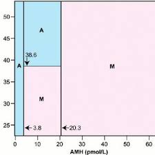 Classification Mosaic Chart For Ongoing Menses M Or