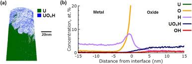 Uranium, radioactive chemical element of the actinoid series of the periodic table, atomic number 92. Atomic Scale Studies Of Uranium Oxidation And Corrosion By Water Vapour Scientific Reports