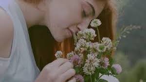 Check spelling or type a new query. The More Things You Do The More You Can Do The Dailysymphony Playlist For Deep Sleep Youtube