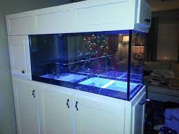 Wall Divider Aquarium Google Search Idee Acquario Acquario Da Casa Acquario