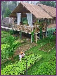 30 Adorable Farmhouse Cottage Design Ideas And Decor Adamsmanor Cottage Design Bamboo House Design Bamboo House