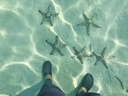 The rates are p1000 per hour or p1500 for 2 hours. Things To Do In Calatagan Batangas Beaches And Resorts
