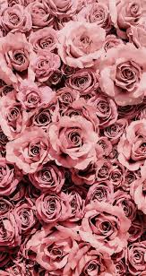 Gadgets For 2018 Uk Of Iphone Wallpaper Harry Potter Quotes Wherever Iphone Wallpapers Nba Another Fond D Ecran Rose Gold Fond Decran Fleur Fond D Ecran Colore