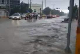 問卦 台北下大雨淹水 蟑螂們好開心？ 新聞 30多歲男打az血栓首例親友籌70萬自費保命 林口長庚證實. æ–°èž åŸºæœ¬åŠŸå'¢ é«˜é›„æ·¹æ°´è¼•è»Œéƒ¨åˆ†åœé§›ç¶²å‹å–Š Gossipingæ¿ Disp Bbs