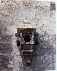 Istanbul Eyup Eyup Sultan Camii Sultan Kus Evi Kus