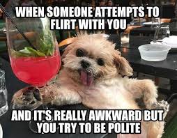 A very model of decency and politeness. The Best Polite Memes Memedroid