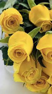 Wholesale Roses In 2021 Rose Flower Rose Flowers