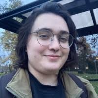 60+ "Levi Stein" profiles