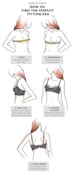 Knowledge Is Power Get The Perfect Bra Fit Perfect Bra Size Perfect Bra Bra Fitting