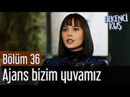 Erkenci Kus 36 Bolum Ajans Bizim Yuvamiz Youtube In 2020 Sanem Youtube The Dreamers