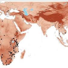 Image result for Memecylon rovumense