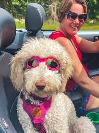 new arrivals at bre's tees boutique