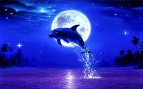 Check spelling or type a new query. 74 Free Dolphin Wallpapers For Desktop On Wallpapersafari