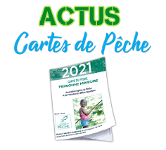 Dec 01, 2019 · plusieurs dispositifs sont mis en place pour aider les adultes en situation de handicap dans leur vie quotidienne (logement, transport, travail.). Cartes De Peche 2021 Federation De Peche 44