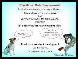 Blog Yaletown Dog Training In Home Training And Board Train Positive Reinforcement Dog Training Techniques Dog Training